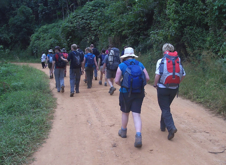 Walking Tours