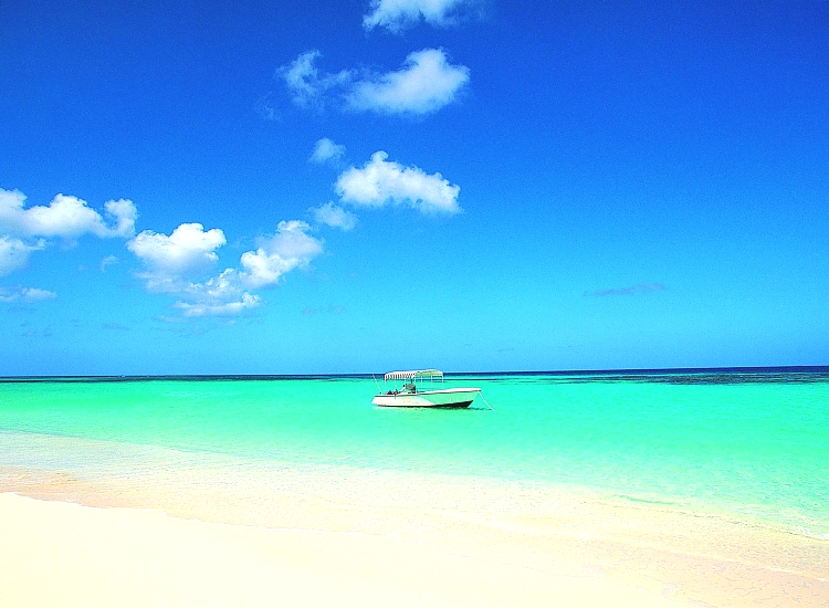 Zanzibar Island Beach