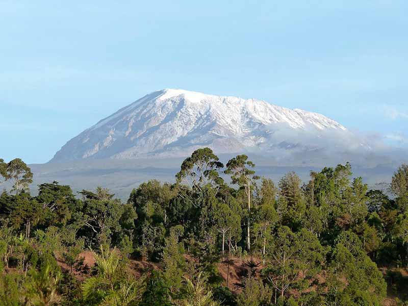 Uhuru Peak Summit Celebration