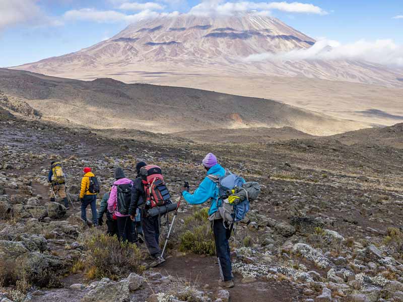 Group Kilimanjaro Climb