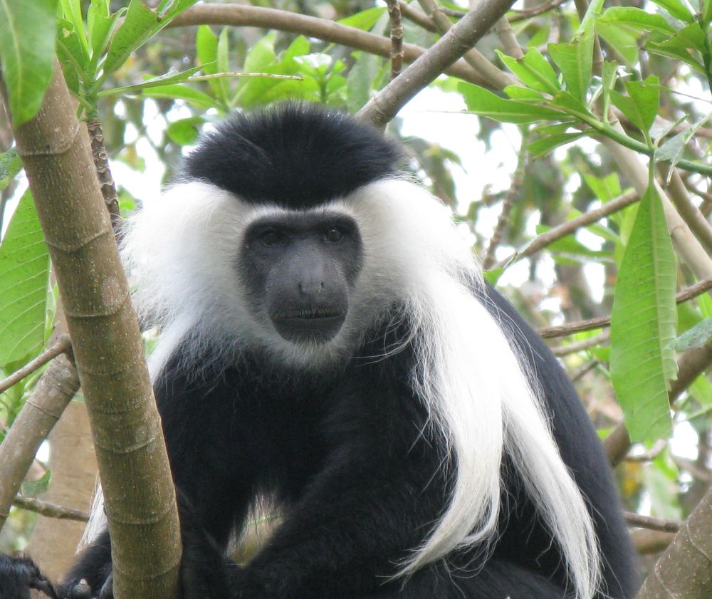 Southern Circuit Tanzania